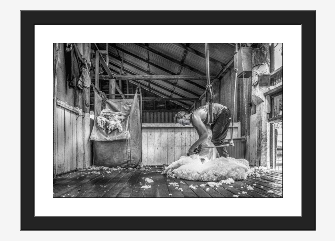 The Southpaw Shearer - Image 2